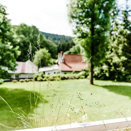 Bocksbergblick Bb 02 *